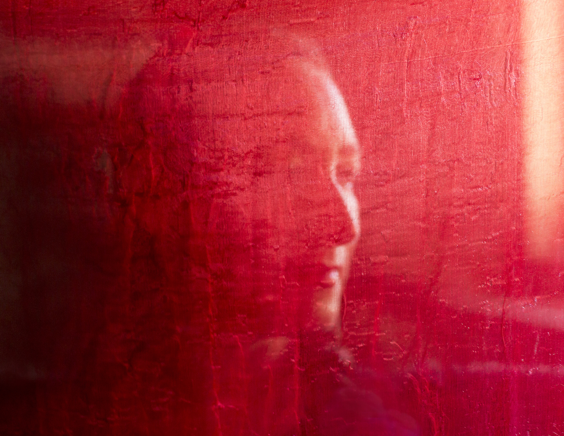 Poetica - Photo by Tom Moore