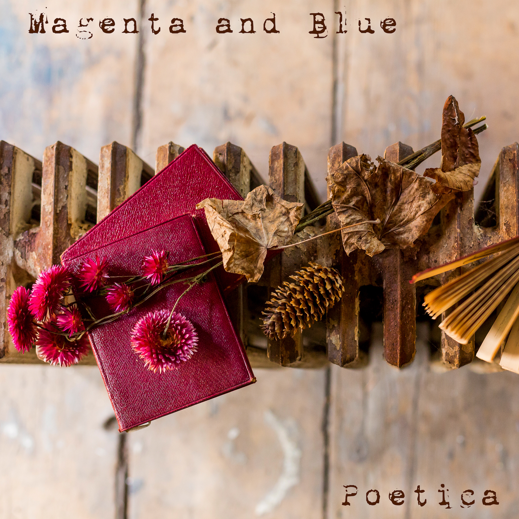 Poetica - Magenta and Blue