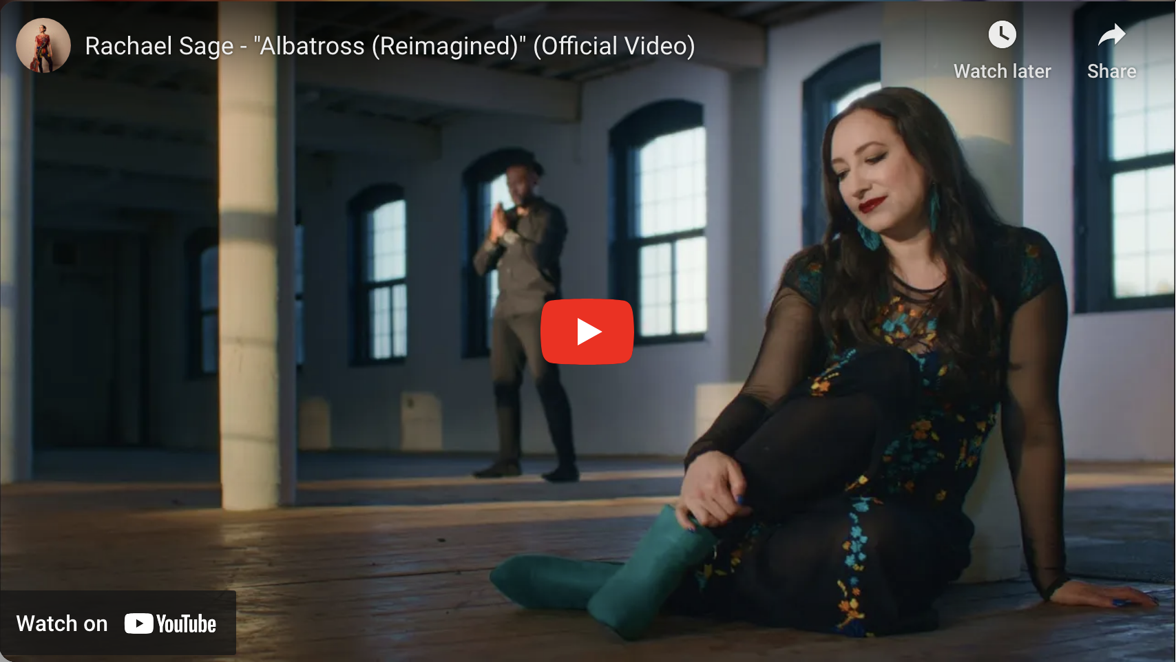 Click To Play Albatross (Reimagined) Video